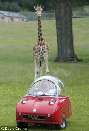 Ӣ���οͼ����ݳ����Ա�Ϯ��