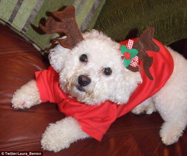 Ӣ��С�������������ö�������