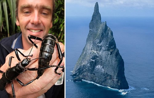 ���ţ��ĵ�����������ġ�����Ϻ����ͼ��