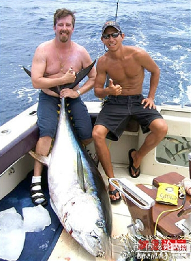 �����𾪵ľ������� �����������Ȥͼ��