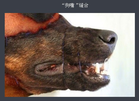 �ֲ���̬���������ݳɹ�ͷ ���˹�������ȫ����