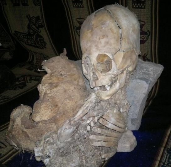 秘鲁巨头干尸疑似外星人遗骨 奇趣发现