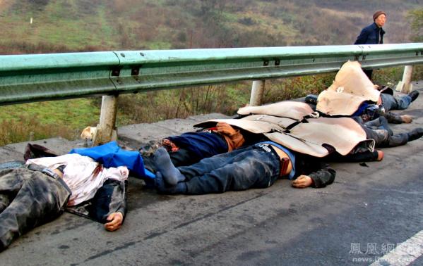 ������磺���ž�ѡ��Ƭ���㿴���磨ͼ��