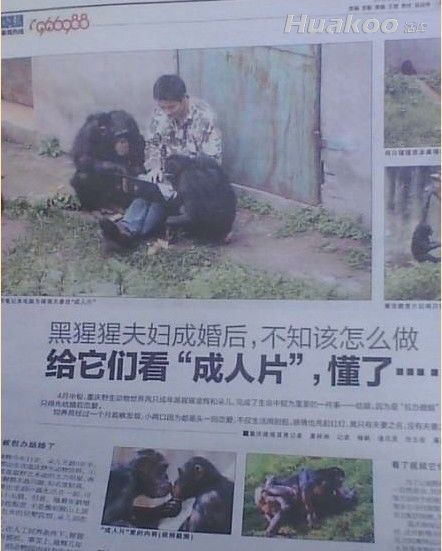 ��ͼ����һ�ڻ��絽��Ļ�� ��ЦͼƬ