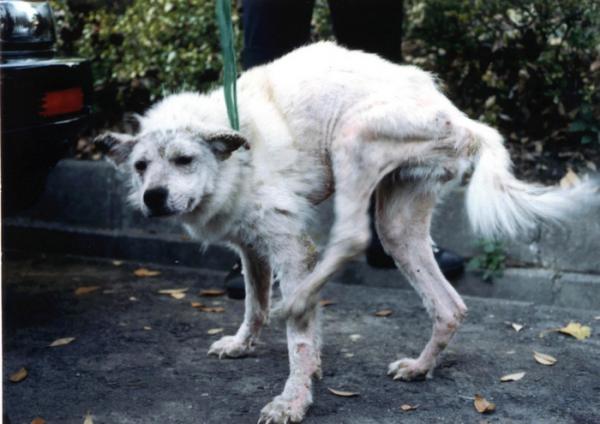 ���أ��Ҳ��̶õĶ���ʵ�����Ƭ��ͼ��