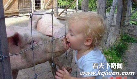 ��B�������Բеĸ�ĸ