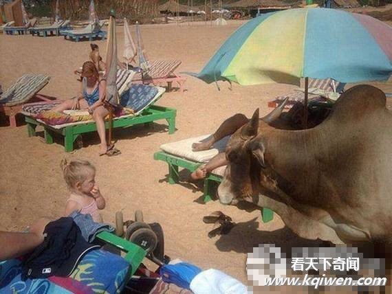 ɳ̲�����������˲���