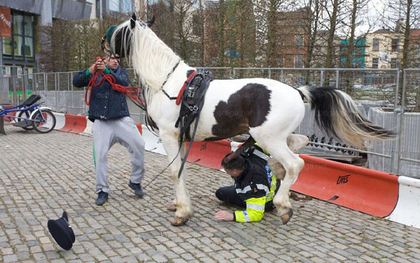 ���ÿ���ͻȻ���𾹵���¶��ǹǿ�����ﾯ(ʵ��������ͼ)