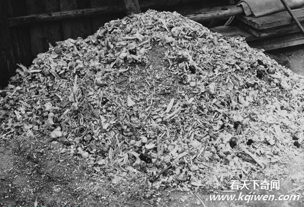 �ҿ���սʱ�¹��ɴ����˷�ָ�ı��� ����Ӫʬ����(��ͼ)